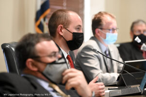 Senate panel OKs bill to limit governor's emergency powers, and bills regarding city annexation and legal ads